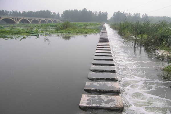 武河湿地